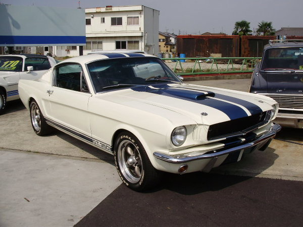 FORD MUSTANG SHELBY GT350 CLONE