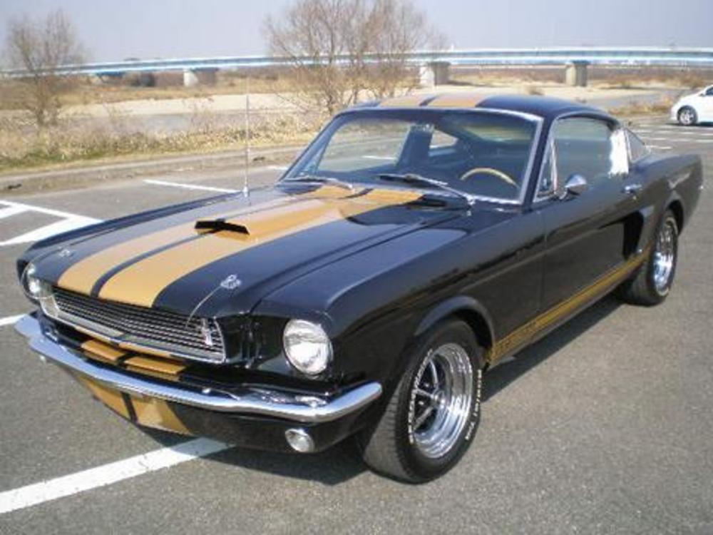 FORD MUSTANG SHELBY GT350H CLONEのサムネイル