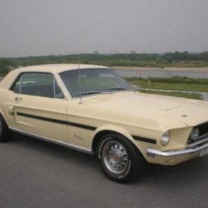 FORD MUSTANG COUPE GT/CSのサムネイル