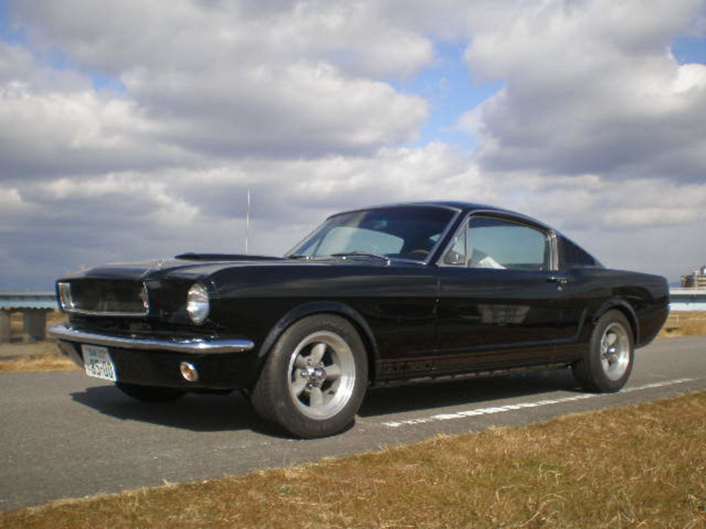 FORD MUSTANG GT350 CLONEのサムネイル