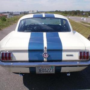 FORD MUSTANG SHELBY GT350 CLONEのサムネイル