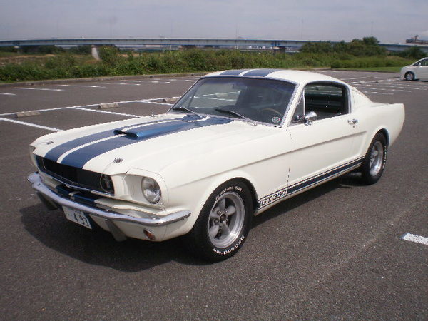 FORD MUSTANG SHELBY GT350 CLONE