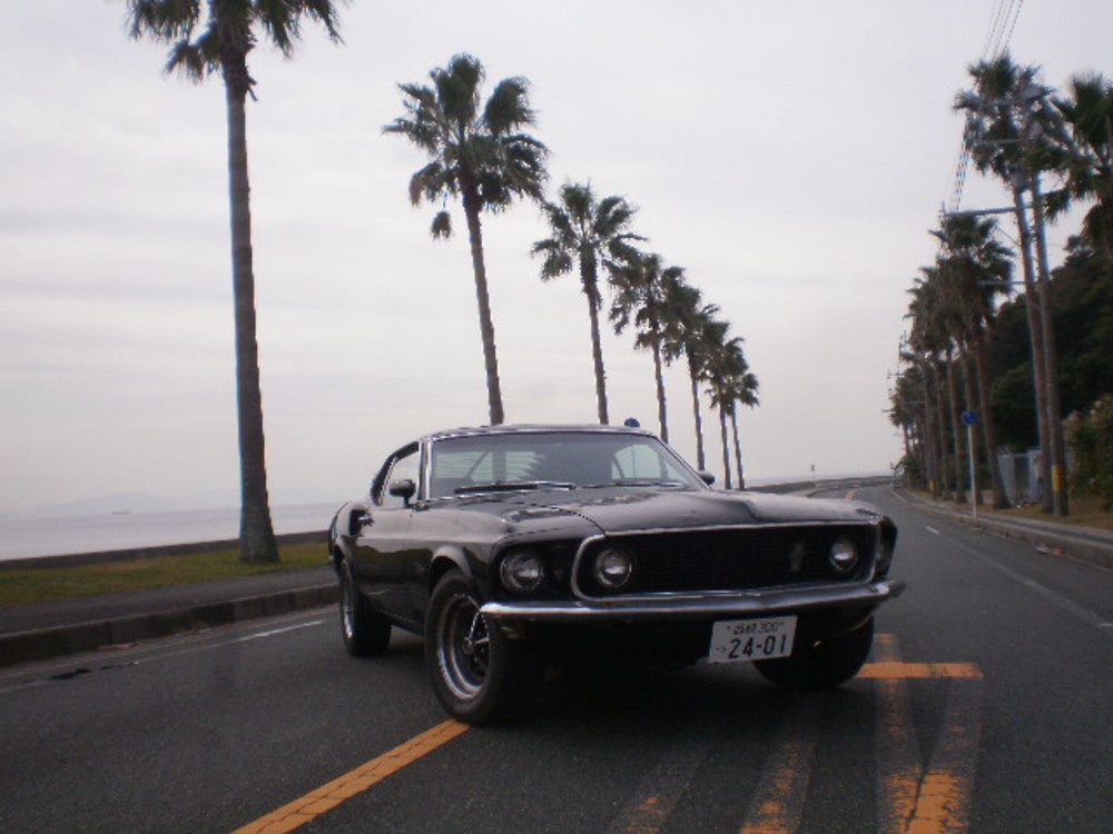 FORD MUSTANG SPORTSROOFのサムネイル