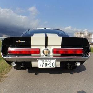 FORD MUSTANG SHELBY GT500 CLONEのサムネイル