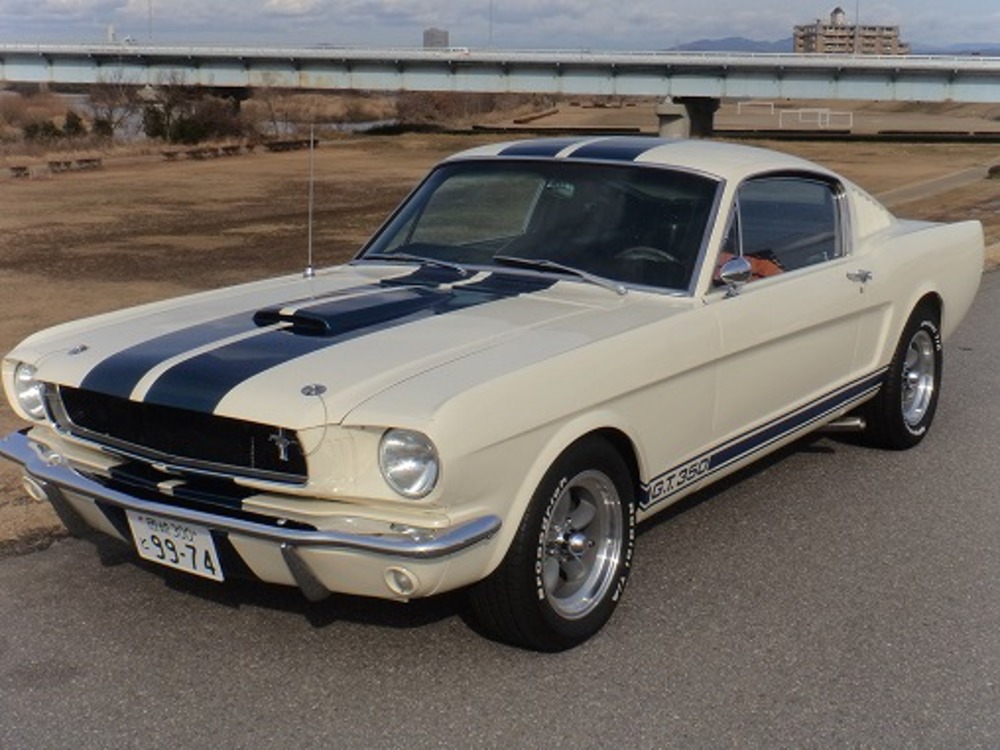FORD MUSTANG SHELBY GT350 CLONEのサムネイル