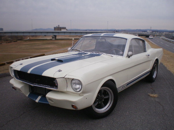 FORD MUSTANG SHELBY GT350R CLONE