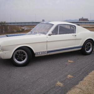 FORD MUSTANG SHELBY GT350R CLONEのサムネイル