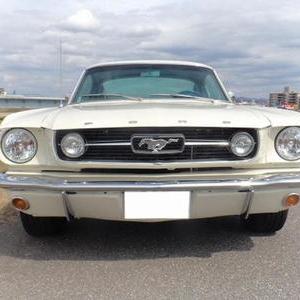 FORD MUSTANG FASTBACK GTのサムネイル