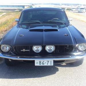 FORD MUSTANG FASTBACK SHLBY GT500 CLONEのサムネイル