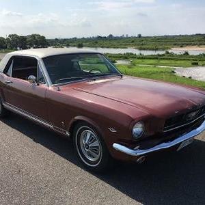 FORD MUSTANG COUPE GTのサムネイル
