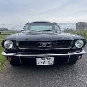 FORD MUSTANG COUPEのサムネイル