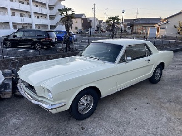 66 Mustang Coupe・・・・！