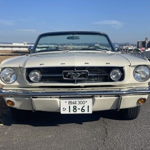 FORD MUSTANG GT CONVERTIBLEのサムネイル